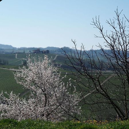 Tenuta Montanello B&B Castiglione Falletto Buitenkant foto