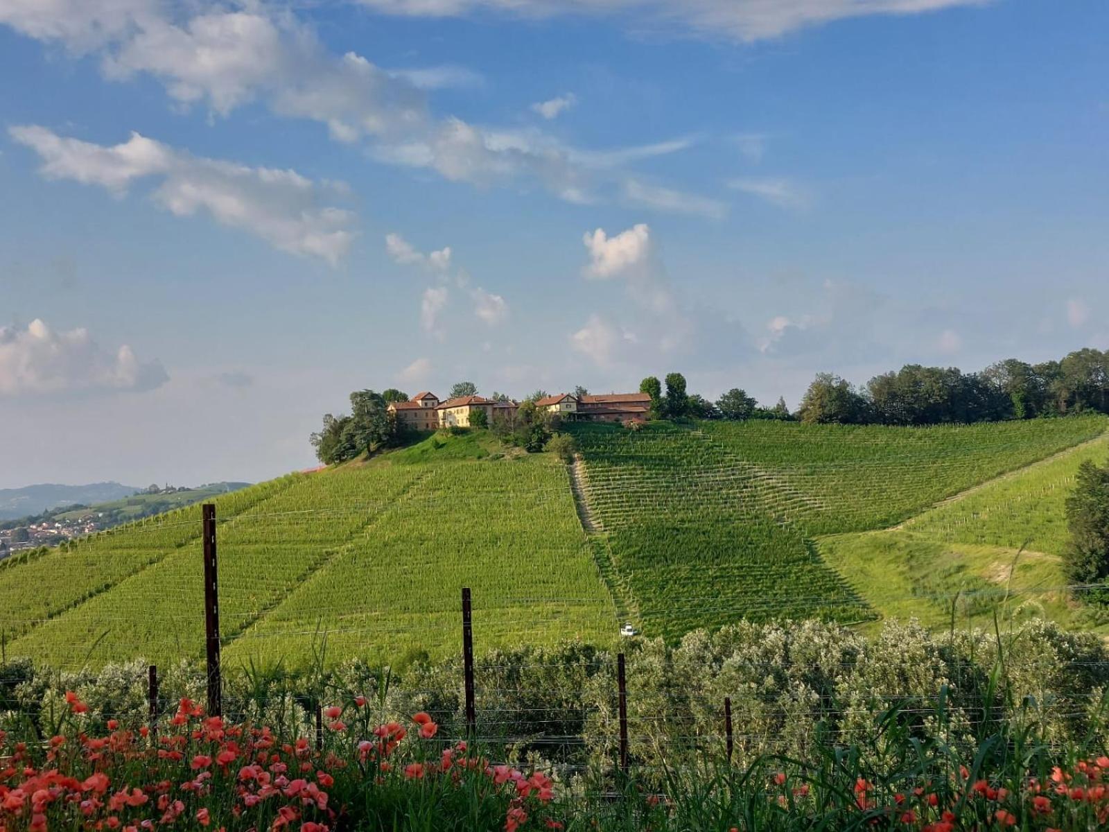 Tenuta Montanello B&B Castiglione Falletto Buitenkant foto