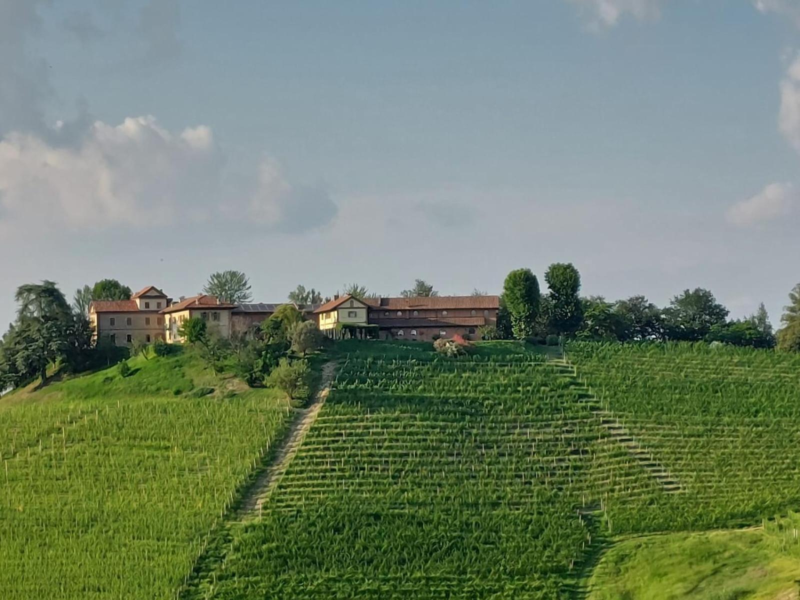 Tenuta Montanello B&B Castiglione Falletto Buitenkant foto