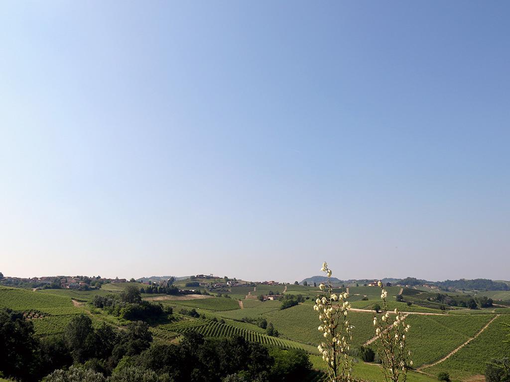 Tenuta Montanello B&B Castiglione Falletto Buitenkant foto