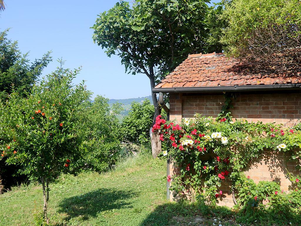 Tenuta Montanello B&B Castiglione Falletto Buitenkant foto