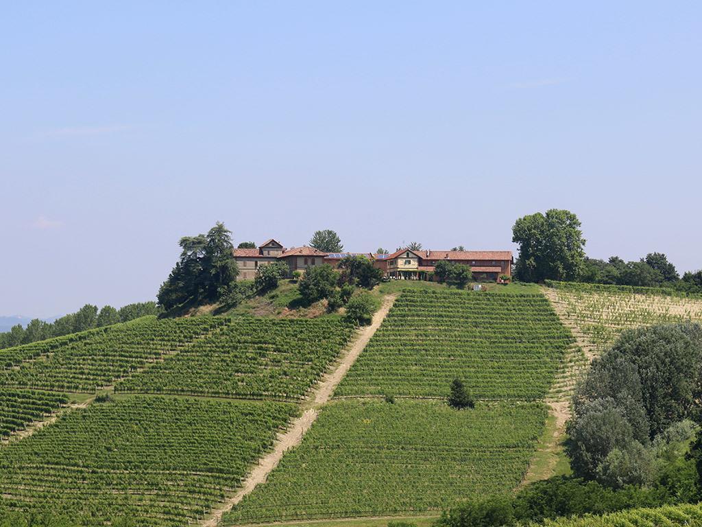 Tenuta Montanello B&B Castiglione Falletto Buitenkant foto