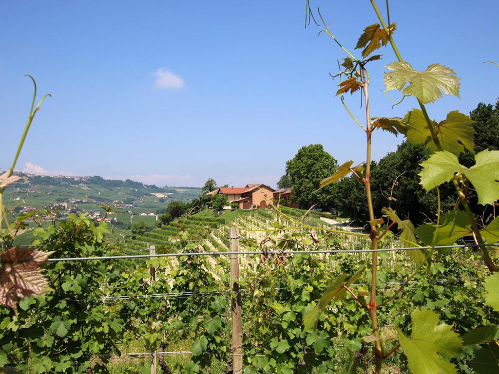 Tenuta Montanello B&B Castiglione Falletto Buitenkant foto