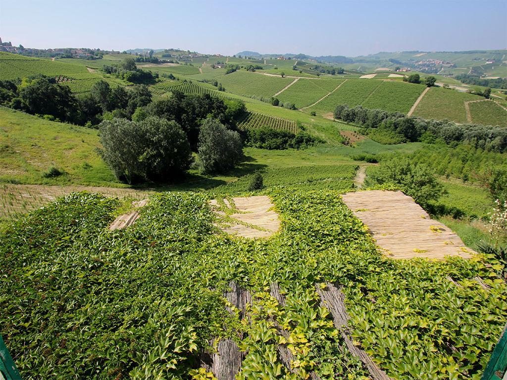 Tenuta Montanello B&B Castiglione Falletto Buitenkant foto