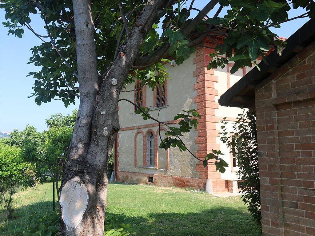 Tenuta Montanello B&B Castiglione Falletto Buitenkant foto