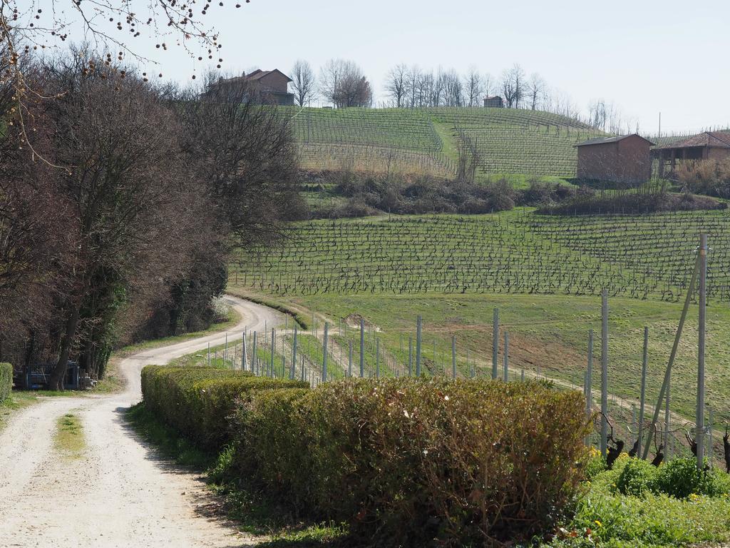 Tenuta Montanello B&B Castiglione Falletto Buitenkant foto